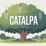 Illustration catalpa arbre ornement jardin