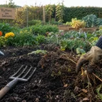 Entretenir son jardin au fil des saisons : fourche-bêche et paillis au petit matin
