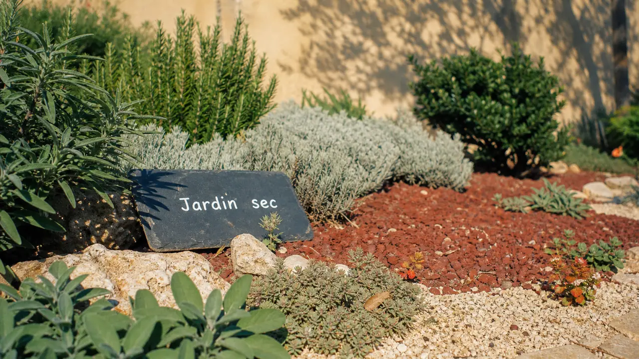 Jardin méditerranéen sans entretien avec gravier, pouzzolane et aromatiques